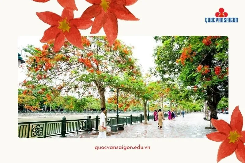 Thời điểm lý tưởng để đi du lịch Hải Phòng