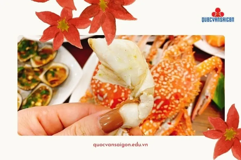 Thưởng Thức Hải Sản Tươi Ngon Hải Phòng