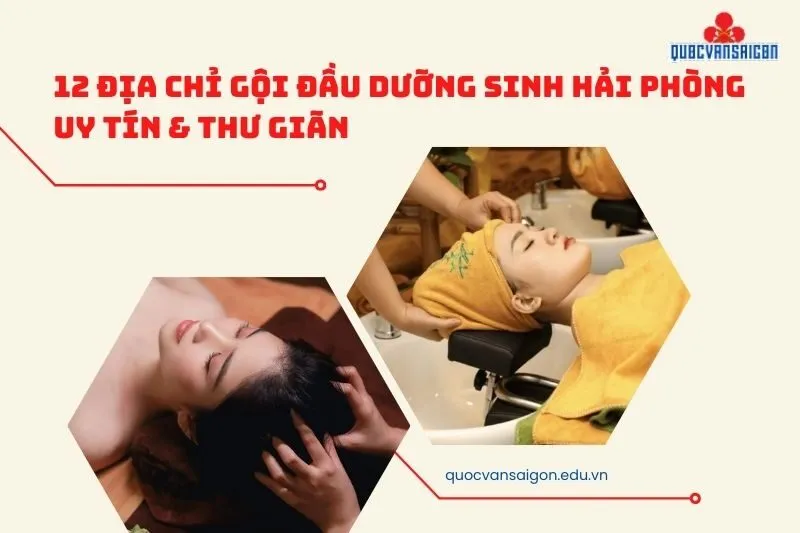 12 Địa Chỉ Gội Đầu Dưỡng Sinh Hải Phòng Uy Tín & Thư Giãn
