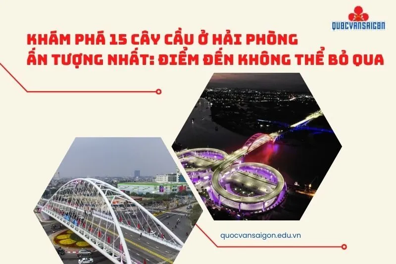 Khám Phá 15 Cây Cầu Ở Hải Phòng Ấn Tượng Nhất: Điểm Đến Không Thể Bỏ Qua