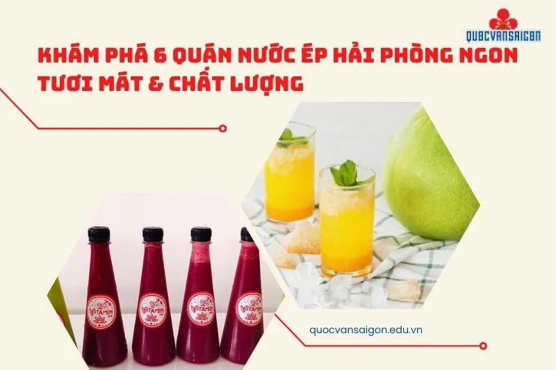 Khám Phá 6 Quán Nước Ép Hải Phòng Ngon Tươi Mát & Chất Lượng