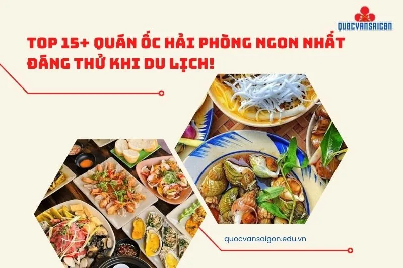 Top 15+ quán ốc Hải Phòng ngon nhất đáng thử khi du lịch!