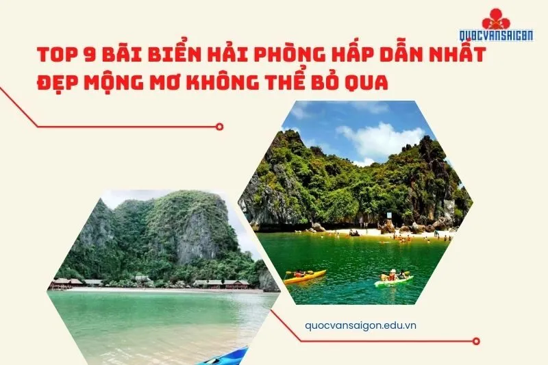 Top 9 Bãi Biển Hải Phòng Hấp Dẫn Nhất Đẹp Mộng Mơ Không Thể Bỏ Qua