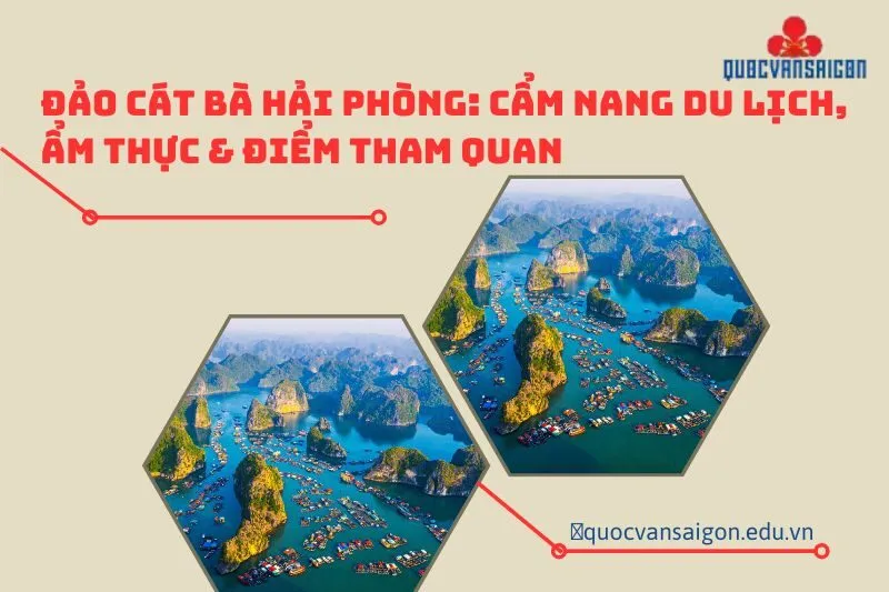 dao-cat-ba-hai-phong-cam-nang-du-lich-am-thuc-diem-tham-quan