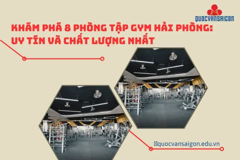 kham-pha-8-phong-tap-gym-hai-phong-uy-tin-va-chat-luong-nhat