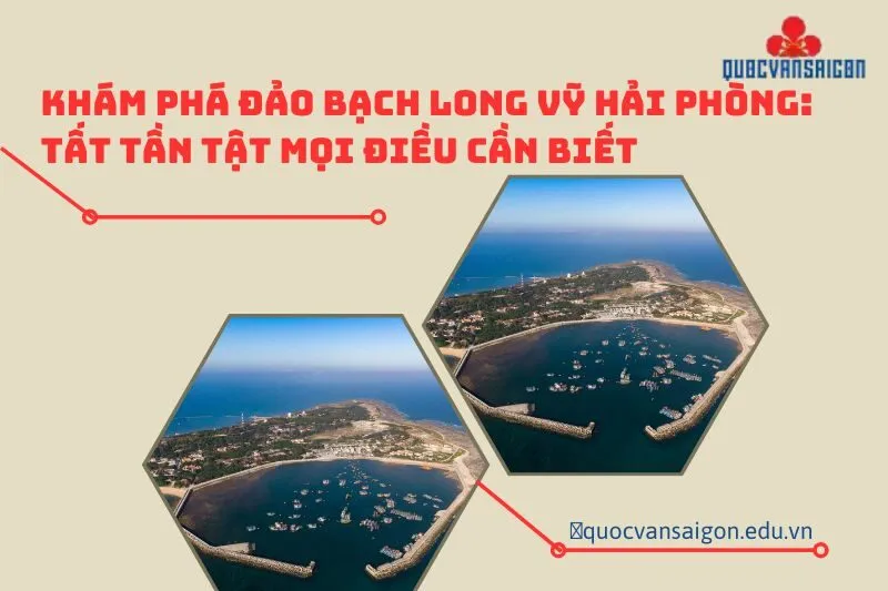 kham-pha-dao-bach-long-vy-hai-phong-tat-tan-tat-moi-dieu-can-biet