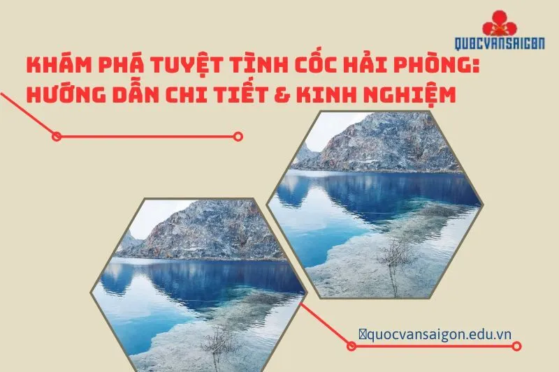 kham-pha-tuyet-tinh-coc-hai-phong-huong-dan-chi-tiet-kinh-nghiem