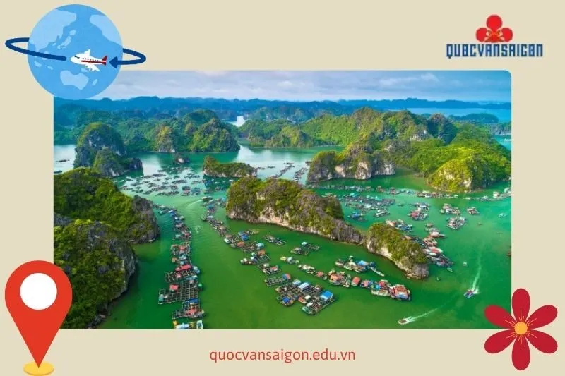 nhung-diem-tham-quan-noi-bat-tren-dao-cat-ba