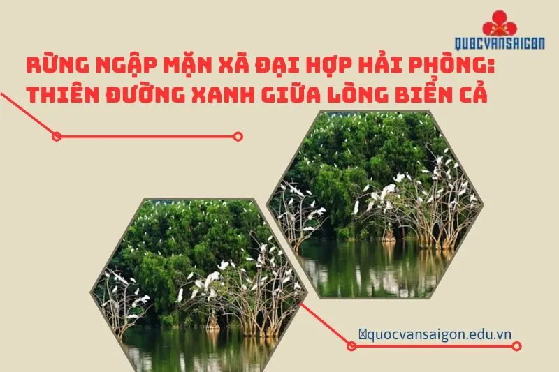 rung-ngap-man-xa-dai-hop-hai-phong-thien-duong-xanh-giua-long-bien-ca