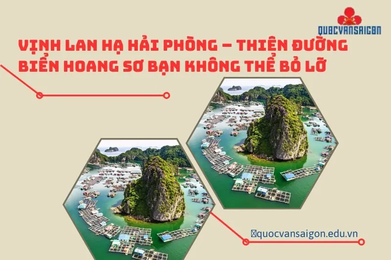 vinh-lan-ha-hai-phong-thien-duong-bien-hoang-so-ban-khong-the-bo-lo